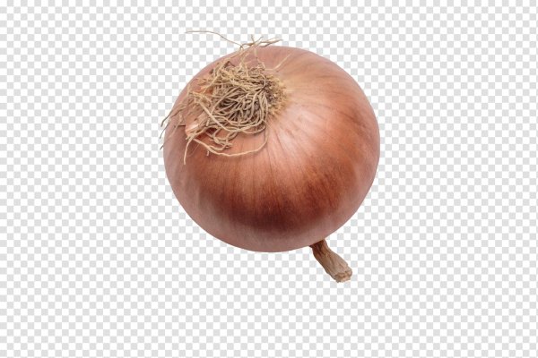 Hydraruzxpnew4af onion login